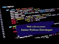 Did a self-taught junior get an offer in just one day Techsobes Junior Python Developer Mock