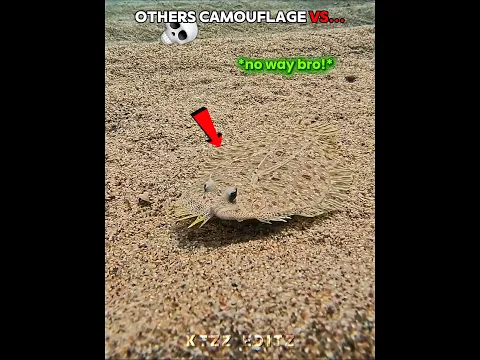 When Camouflage Goes Too Far 💀
