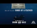 Billie Eilish - BIRDS OF A FEATHER (Rameses B 'Drum \u0026 Bass' Remix) FREE