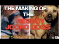 THE MAKING OF THE REDBOY JOCKO DOGS