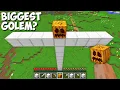 Download Lagu What HAPPENS if you SPAWN the BIGGEST GOLEM in Minecraft ? TITAN GOLEM !