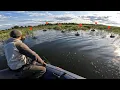 Download Lagu Приплыли к камышам. А тут.. Сработок намерено! Летние жерлицы летнюю жару!