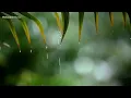 24 Hours - Relaxing Sleep Music with Rain Sounds