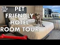 Pet Friendly Hotel Room Tour Courtyard by Marriott Florence South Carolina
