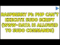 Raspberry Pi PHP can t execute sudo script www-data is allowed to sudo commands 2 Solutions