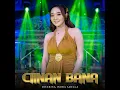 Ciinan Bana