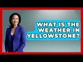 What Is The Weather In Yellowstone - The Family Getaway Guide