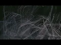 Hania Rani & Colin Stetson - In All This Heavy Blue