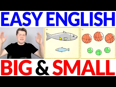 Big and Small 🐟🏀🎾 Aprenda inglês Basic Vocabulário | Simple Iniciante fácil Input compreensível em inglês