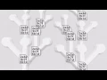 Git Basics Branches
