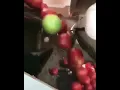 Foodtech - Sorting of Tomatoes using Computer Vision Machine Learning Algorithms