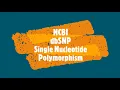 Download Lagu dbSNP NCBI#SNP#SNV#databaseSNP#polymorphism#singlenucleotidevariation #singlenucleotidepolymorphism