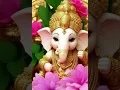 Download Lagu Jai Ganesh ❤️Jai Ganesh ❤️Jai Ganesh Deva 💕WhatsApp status #Ganeshji♥️ #shorts #shortvideo