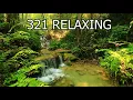 Zen Garden Relaxing Music and Nature - Asian Far East Instruments