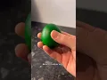 Green eggs and ham