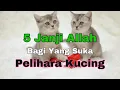 Download Lagu 5 Janji Allah Bagi Yang Suka Pelihara Kucing