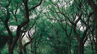 عند تكون الموسيقي طريقا لبدايه وامل جديد Beginning And New Hope By Serkan Hakki 