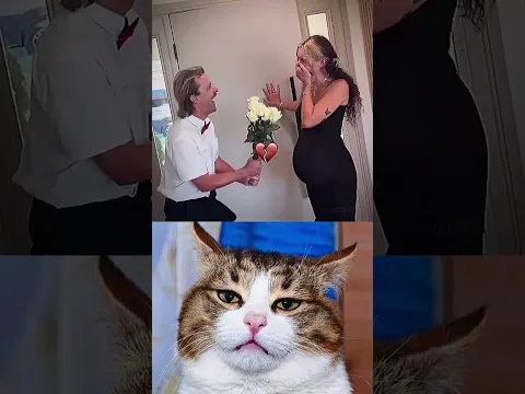 wtf 😂🤣 #shorts #funny #aura #cat #memes #dance