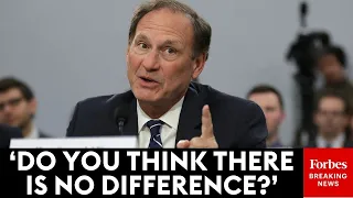 I m Not Quite Sure I Understand Samuel Alito Lays Into Lawyer Over Phrasing In Asylum Statute
