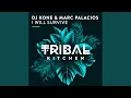 Download Lagu I Will Survive (Original Mix)