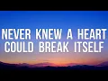 Download Lagu Zach Hood - never knew a heart could break itself (acoustic) (Lyrics Video)