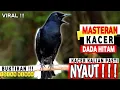 Download Lagu 🔴VIRAL ⁉️ - MASTERAN KACER GACOR FULL ISIAN MEWAH !! BURUNG KACER DADA HITAM COCOK buat LATIHAN ‼️