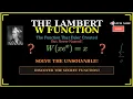 How Euler Invented a New Function to Save Mathematics
