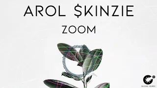 arol kinzie zoom cdr048 