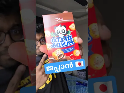 Japanese chocolate cookies | Hello Panda 🐼