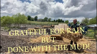 No More LOWES Straw Bales