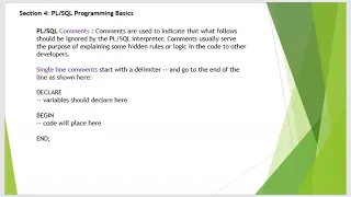 Programming Language Comments