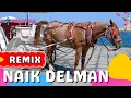 Download Lagu 🔴 LAGU NAIK DELMAN REMIX - Lagu Anak Balita