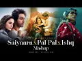 Download Lagu Saiyaara x Ishq x Ishq Mashup | Sd Music Vibe | Faheem Abdullah | Afusic | Arijit Singh