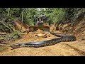 Download Lagu EPlC! Bulldozer Slices Through Rainforest - New Road Built in MINUTES 