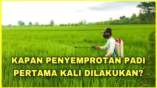 Download Waktu Penyemprotan Padi Yang Tepat | Waktu Penyemprotan Pertama Pada Tanaman Padi MP3