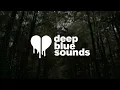 joshua bassett - biting my tongue (lyrics)