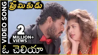 oh cheliya naa priya sakhiya video song premikudu movie songs prabhu deva nagma