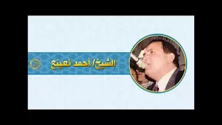 الشيخ احمد نعينع سوره يوسف 