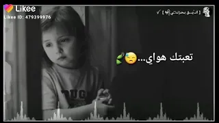 محمد الحلفي يا كلبي كافي تعبتك هواي 