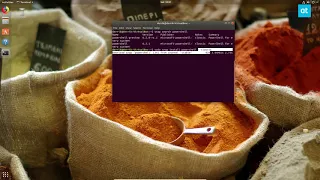 How to get Microsoft Powershell on Linux