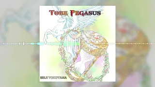 saint seiya sanctuary tobe pegasus glide pegasus seiji yokoyama on spotify 