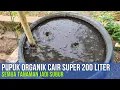 Lagu MEMBUAT PUPUK ORGANIK CAIR (POC) SUPER  LANGSUNG 200 LITER!!!