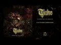 Download Lagu TITHE - Communion In Anguish (full album stream)