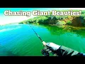Lake Pardee Smallmouth Bass Fishing Chasing Giant Beauties