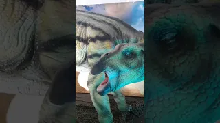 ديناصور كأنه حقيقي في مهرجان الديناصور ات Fuerteventura جزيرة 