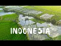Download Lagu Indonesia | Cinematic Travel Video | Stock Footage