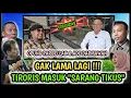 TIRORIS SEGERA MASUK \