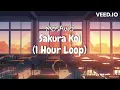Download Lagu Mosawo Sakura Koi (1 Hour Loop)