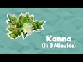 Natural MDMA Kanna Explained In 3 Minutes