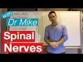Lagu Spinal Nerves